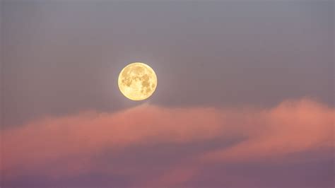 vollmond 2022 juli|Vollmond Juli 2022: Was du über diesen Supermond wissen musst.
